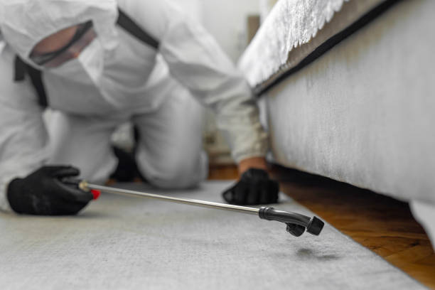 Professional Cockroach Control technician working in Mint Hill, NC