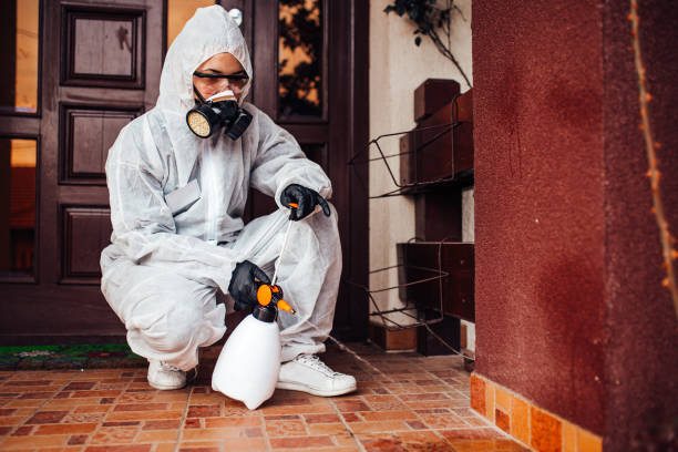 Reliable Cockroach Control contractor in Mint Hill, NC by Nex Pest Control